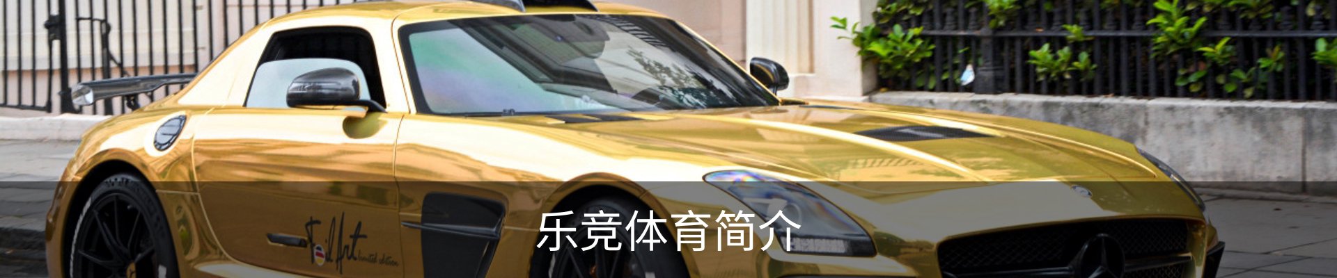乐竞体育简介